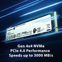 Kingston NV2 250G M.2 Gen 4x4